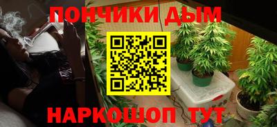 сатива Лесосибирск