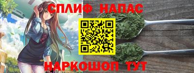 сатива Лесосибирск