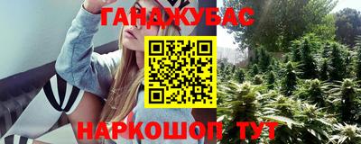 сатива Лесосибирск